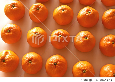 みかん（三ヶ日みかん） 61062373