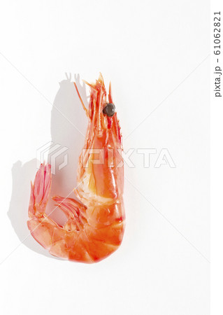 浜汐海老 ゆで海老 おせち 浜汐海老 ゆで海老 おせち 61062821