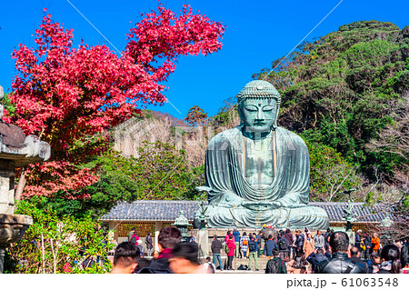 神奈川　鎌倉大仏と紅葉 61063548