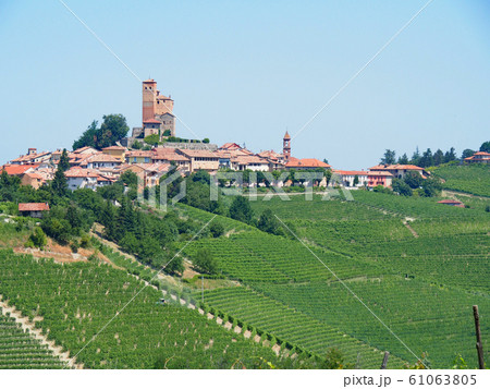 イタリア　バローロ地方　セッラルンガ・ダルバ 61063805