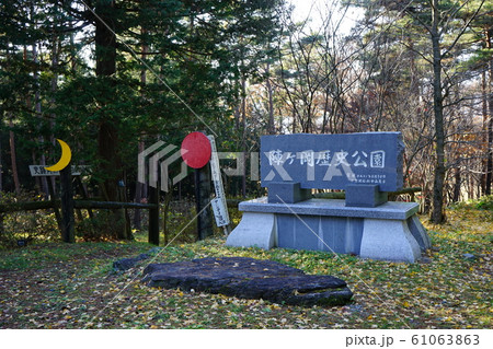 秋の陣ケ岡公園蜂神社 61063863