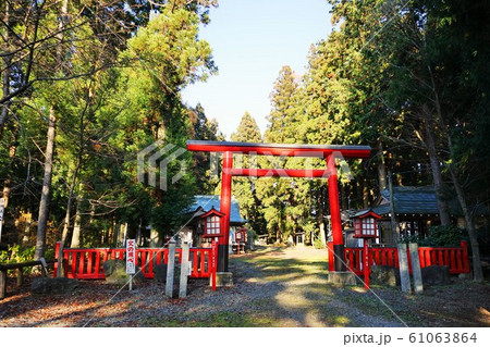 秋の陣ケ岡公園蜂神社 61063864