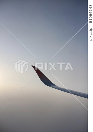 空の翼（グラデーション） 61064148