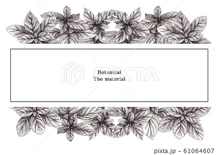 ボタニカルフレーム 枠のイラスト素材