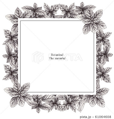 ボタニカルフレーム　枠 61064608