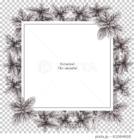ボタニカルフレーム　枠 61064608