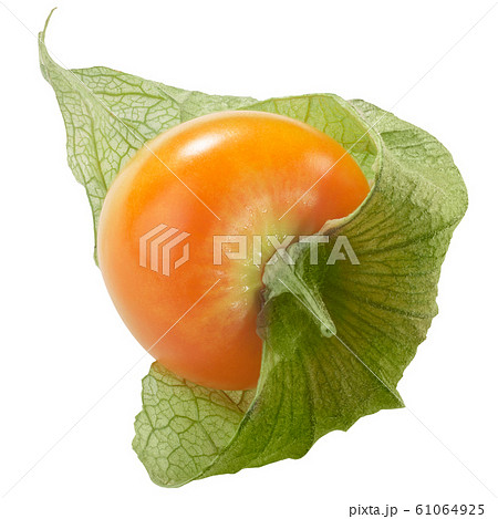 Physalis cape gooseberry, paths 61064925