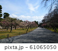 日本の風景（京都　二条城） 61065050
