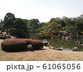日本の風景（京都　二条城） 61065056