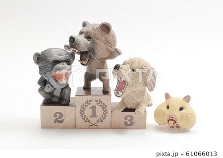 the fun of figure animal on a winners stand. 61066013