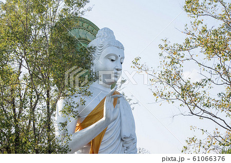 THAILAND MAE SAI WAT THAM PHA CHOM THAILAND MAE SAI WAT THAM PHA CHOM 61066376