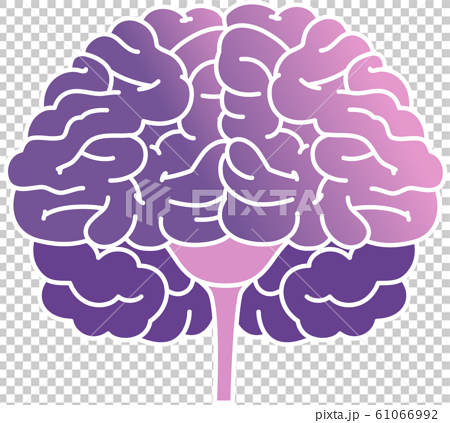 内臓 脳 アイコンのイラスト素材