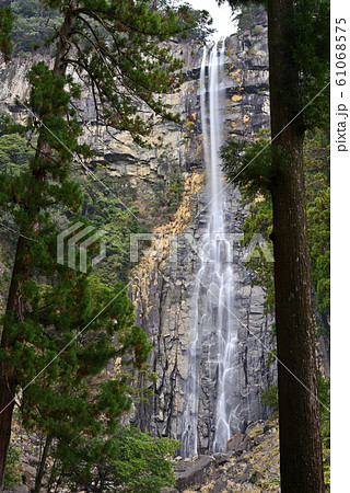 那智の滝(那智大滝)飛瀧神社(和歌山県東牟婁郡那智勝浦町) 那智の滝(那智大滝)飛瀧神社(和歌山県東牟婁郡那智勝浦町) 61068575