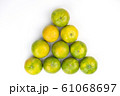 Group of citrus on white isolated background	 61068697