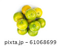 Group of citrus on white isolated background	 61068699