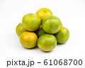 Group of citrus on white isolated background	 61068700
