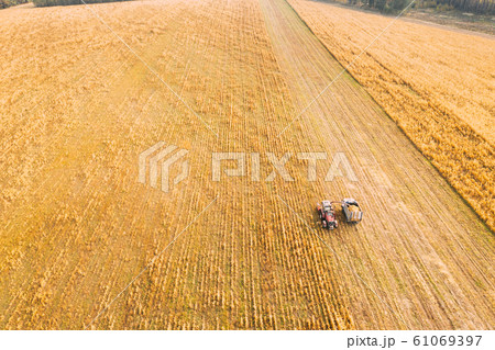 Aerial View Of Rural Landscape. Combine Harvester And Truck Working Together In Field, Collects Seeds. Harvesting Of Wheat In Autumn. Agricultural Machine Collecting Golden Ripe. Birds-eye Drone View 61069397