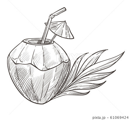 Coconut Cocktail Isolated Sketch Drink In Nut のイラスト素材