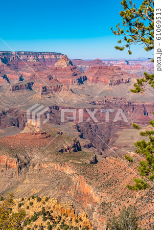 Grand Canyon 61069513