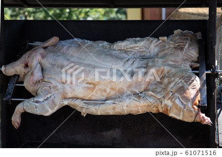Piglet roasted on a spit Piglet roasted on a spit 61071516