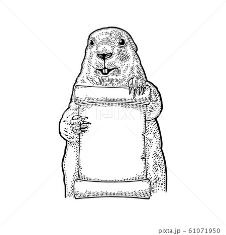 Groundhog holding poster. Engraving vintage black 61071950