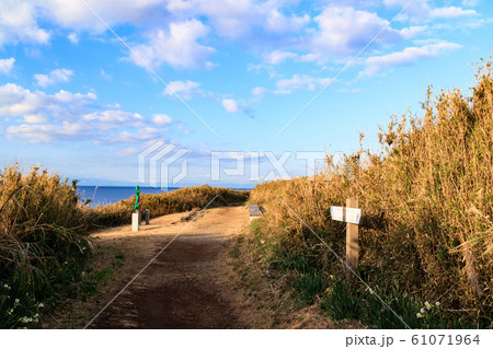 城ヶ島（冬） 61071964