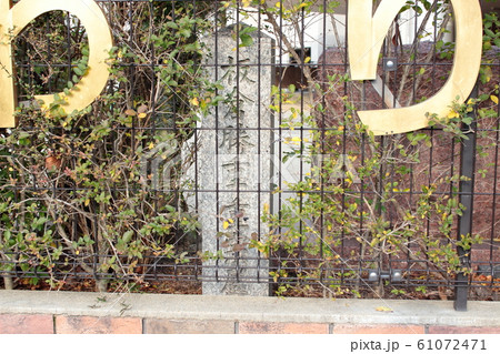 京都　板倉勝重・重宗屋敷跡 61072471