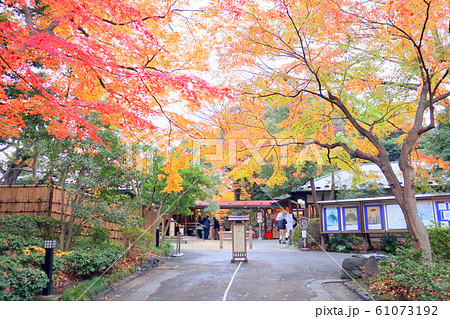 小石川後楽園の紅葉。入口（12月）東京都文京区 61073192