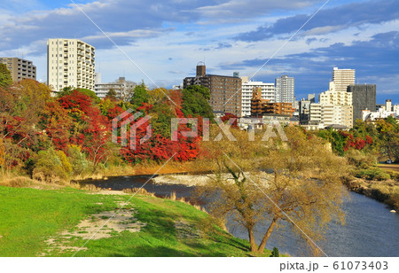 杜の都仙台 澱橋から見渡す広瀬川崖上の紅葉と街並み 杜の都仙台 澱橋から見渡す広瀬川崖上の紅葉と街並み 61073403