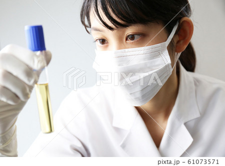 実験する若い研究者 61073571