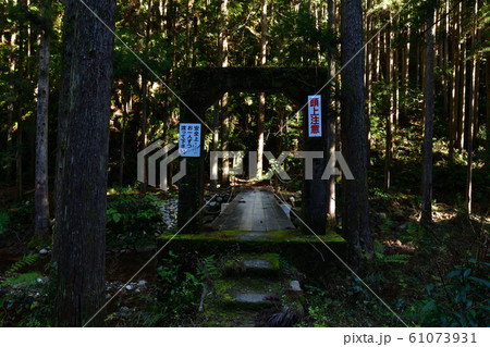 桑ノ木の滝より 61073931