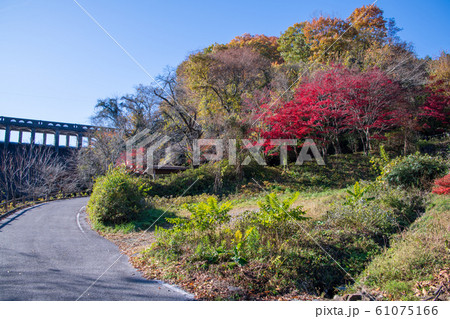 間瀬湖　湖畔の紅葉　本庄市児玉 61075166