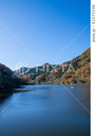 間瀬湖 本庄市児玉 間瀬湖 本庄市児玉 61075246