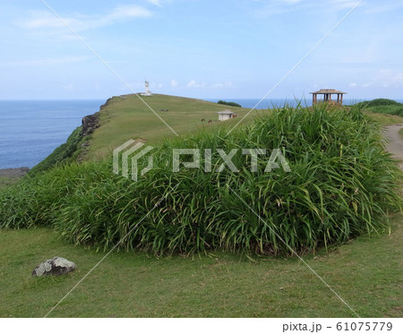 与那国島（東崎） 61075779