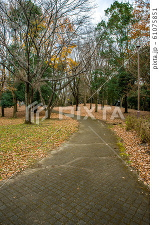 12月正午過ぎ栃木県宇都宮市清原南公園の落葉の風景 12月正午過ぎ栃木県宇都宮市清原南公園の落葉の風景 61075851