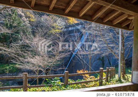 間瀬湖　本庄市児玉 61075878