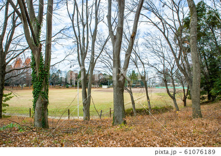 12月正午過ぎ栃木県宇都宮市清原南公園に隣接した野球場 61076189