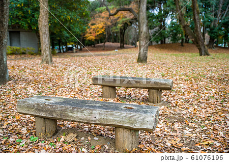 12月正午過ぎ栃木県宇都宮市清原南公園の落葉の風景 61076196