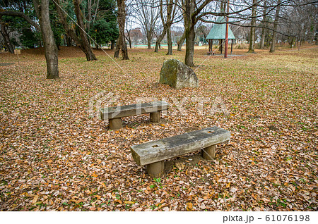 12月正午過ぎ栃木県宇都宮市清原南公園の落葉の風景 12月正午過ぎ栃木県宇都宮市清原南公園の落葉の風景 61076198