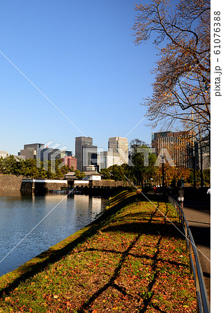 東京　晩秋の皇居周辺　桜田濠と都市風景 61076388