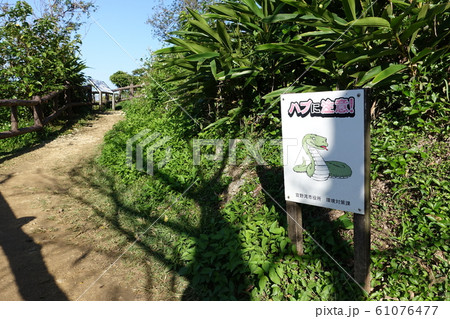 「ハブに注意」の看板 沖縄 宜野湾 「ハブに注意」の看板 沖縄 宜野湾 61076477