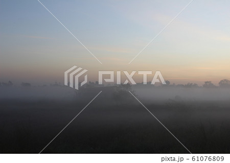 Morning Fog 61076809