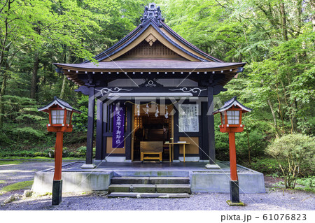 (神奈川県)箱根 駒形神社 本殿 (神奈川県)箱根 駒形神社 本殿 61076823