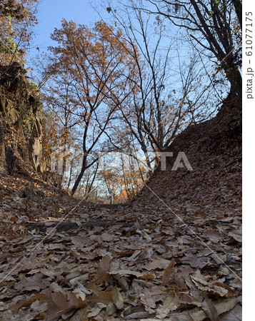 落葉 遊歩道 トレイル 61077175