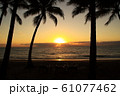 パームコーブ_夕焼け＠アラマンダパームコーブ 61077462