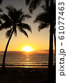パームコーブ_夕焼け＠アラマンダパームコーブ 61077463