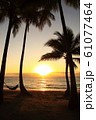 パームコーブ_夕焼け＠アラマンダパームコーブ 61077464