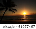 パームコーブ_夕焼け＠アラマンダパームコーブ 61077467
