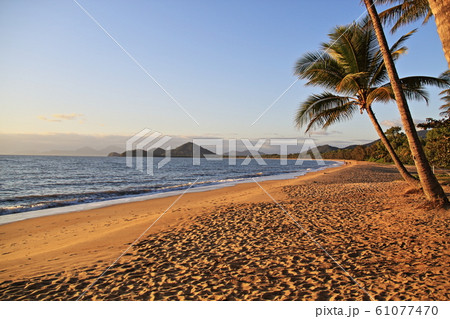 パームコーブ_朝@アラマンダパームコーブ パームコーブ_朝@アラマンダパームコーブ 61077470