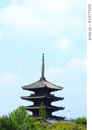 八坂の塔と京都東山の町並み 61077509